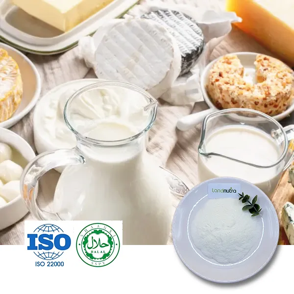 Alanyl Alanine Powder